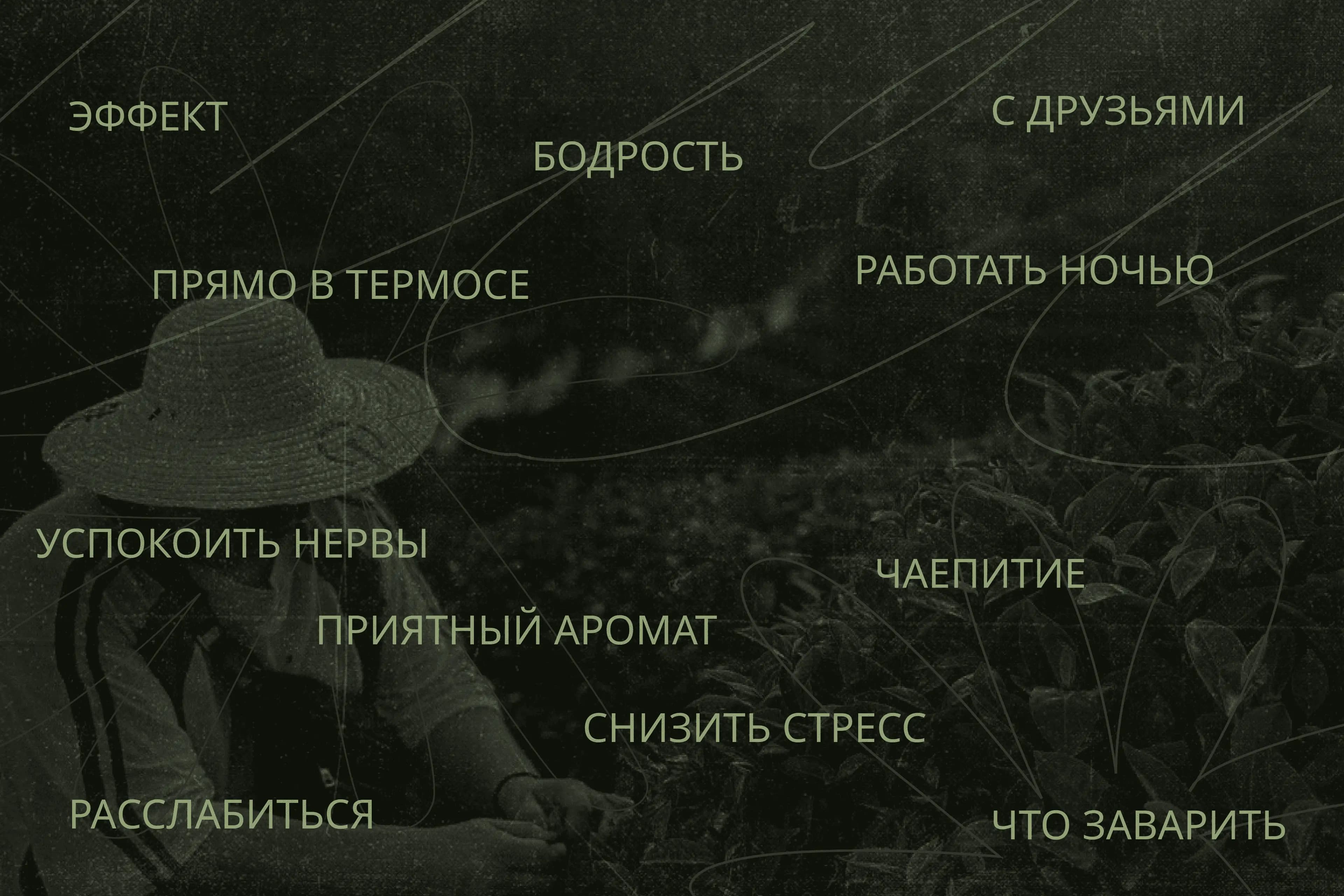 [object Object]