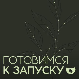 Финальные приготовления